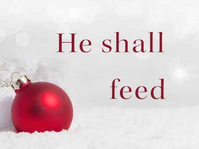 He shall feed